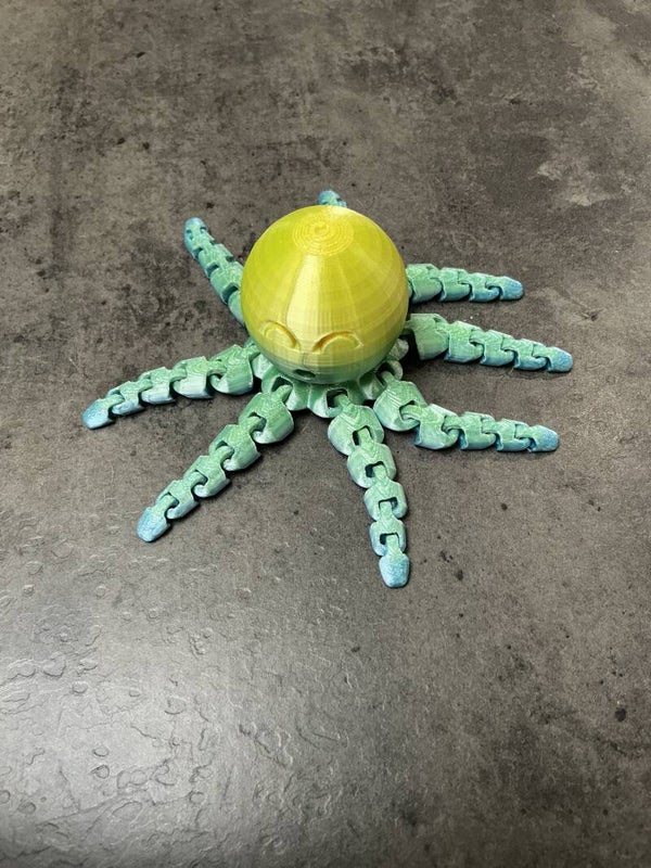 Octopus
