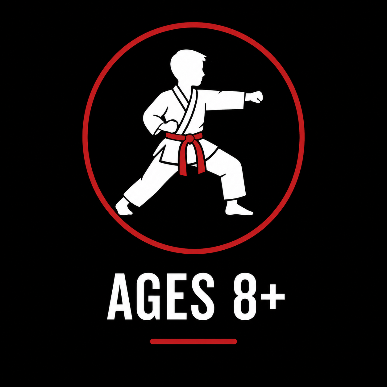 Karate classes for ages 8 and over