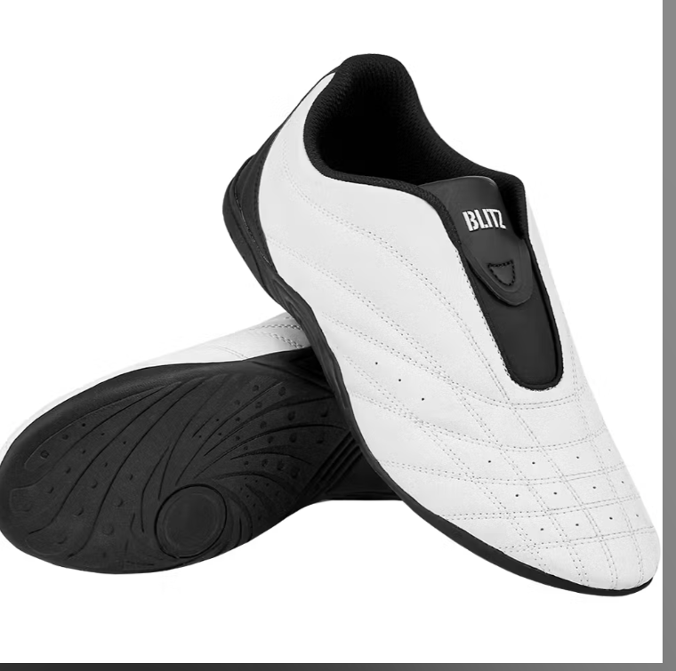 Aero Training Shoes