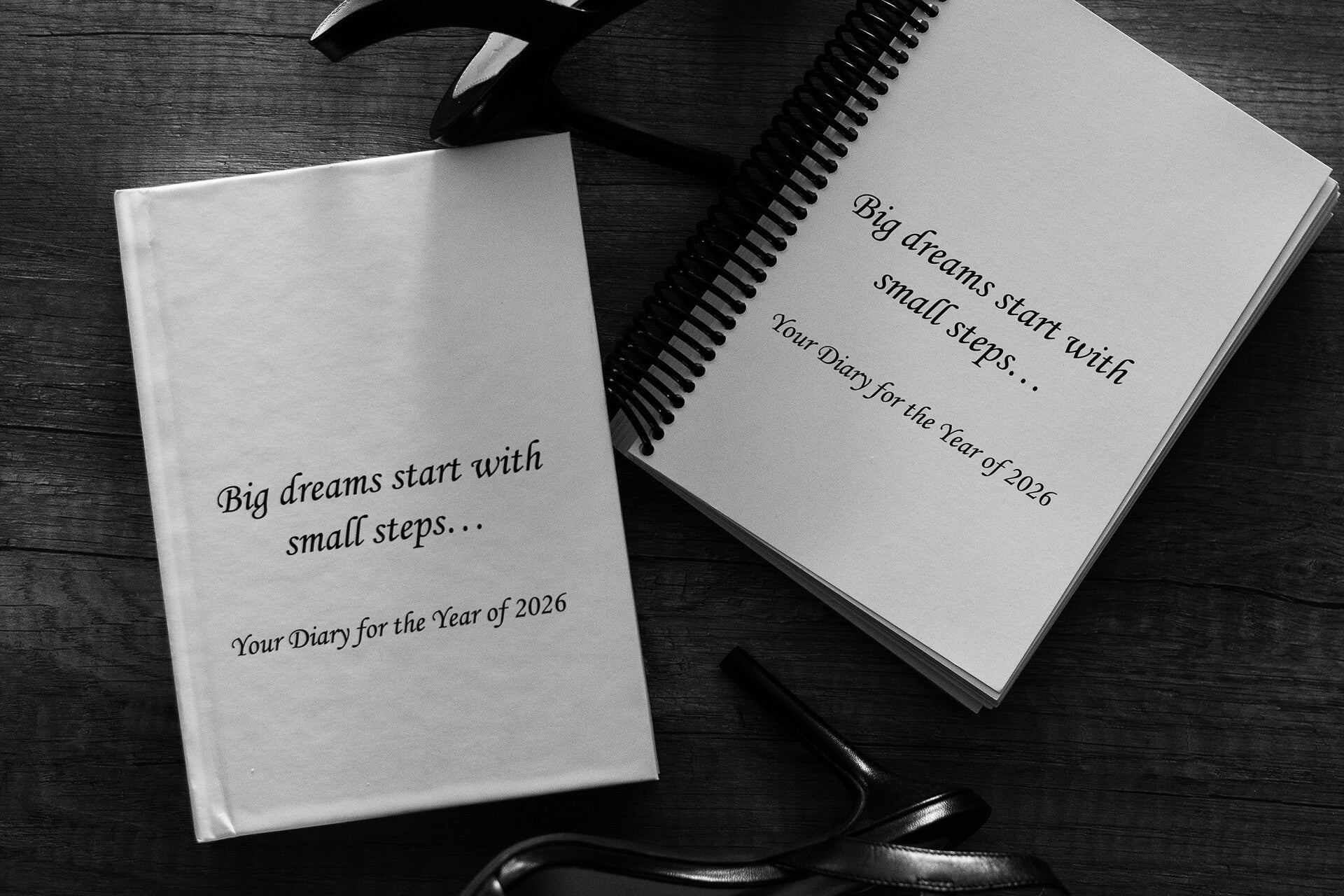 2026 DIARY "Big dreams start with small steps..."