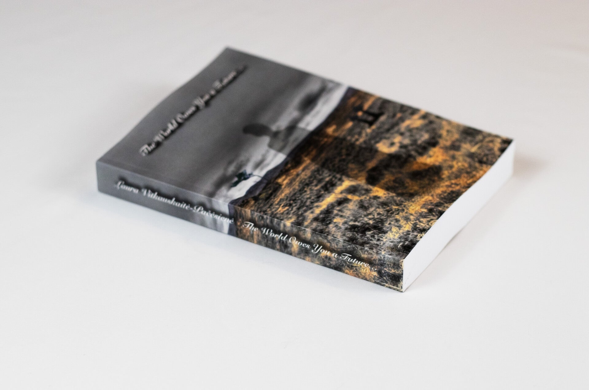 BOOK: The World Owes You a Future...