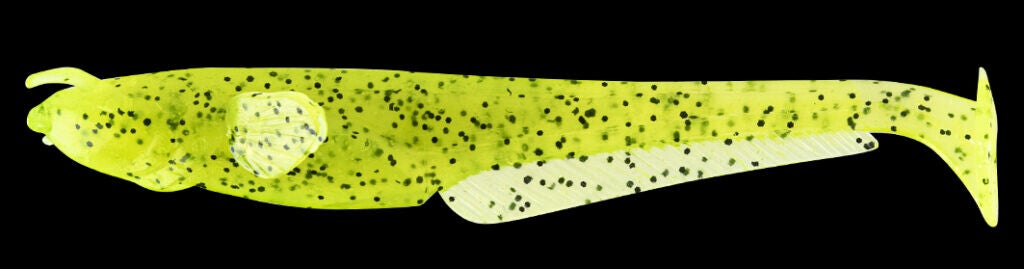 FISHUP CATFISH