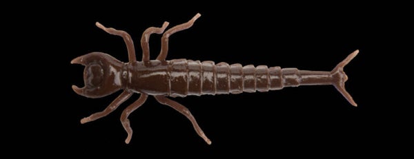 FISHUP DIVING BUG 2