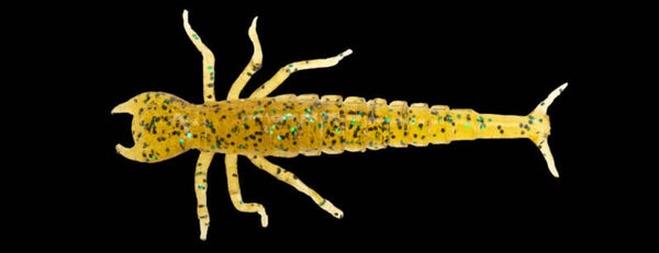 FISHUP DIVING BUG 2