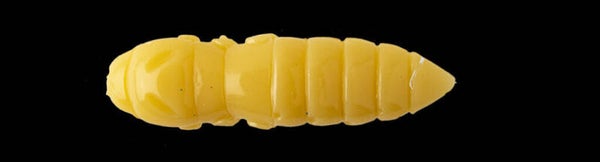 FISHUP PUPA TROUT SERIE