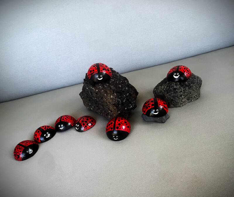 lucky bugs are so cute