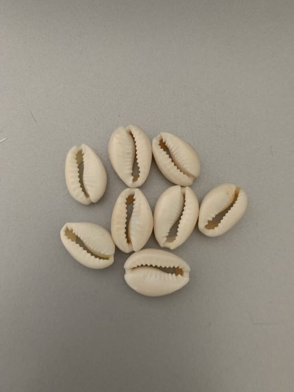 Schelpjes (per 5 stuks)