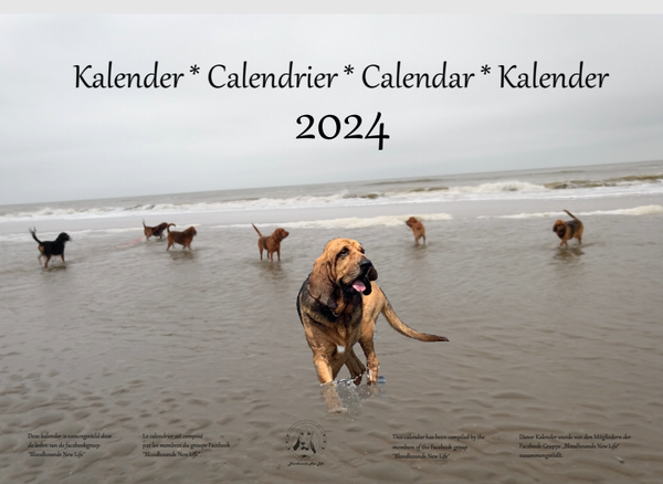 JAARKALENDER 2024