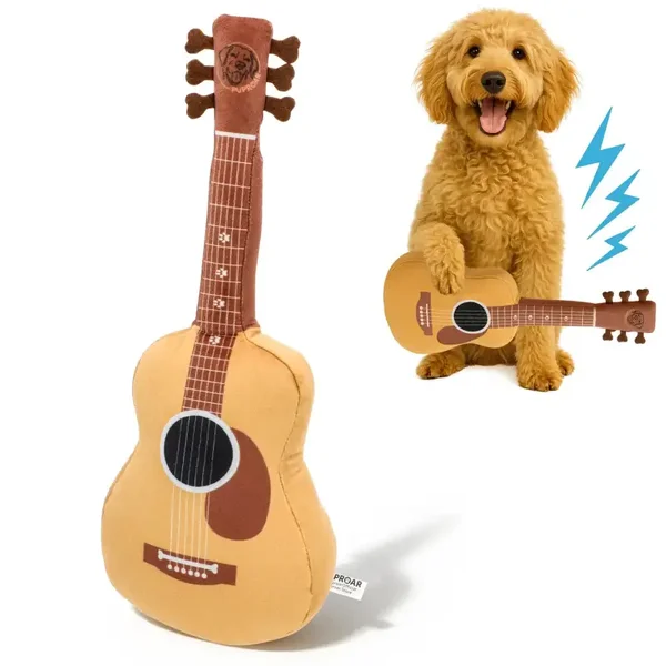 Puproar - gitaar