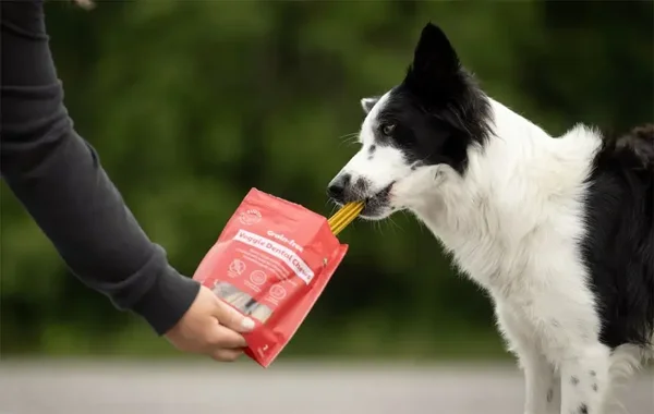 Buddy Dental Chews