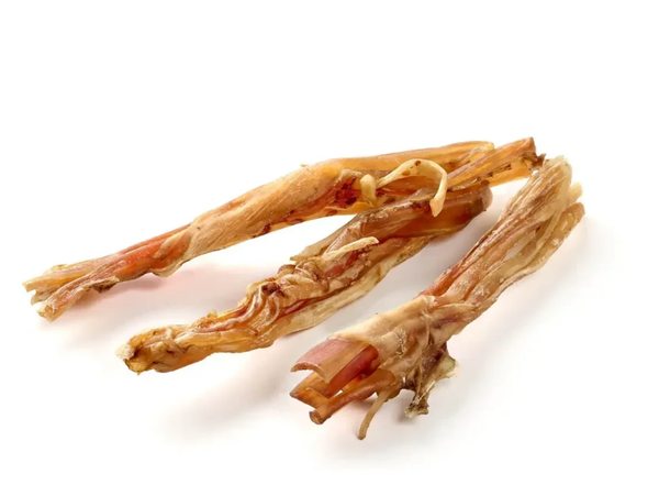 Struisvogel pezen