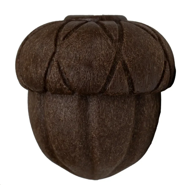 Örva Acorn