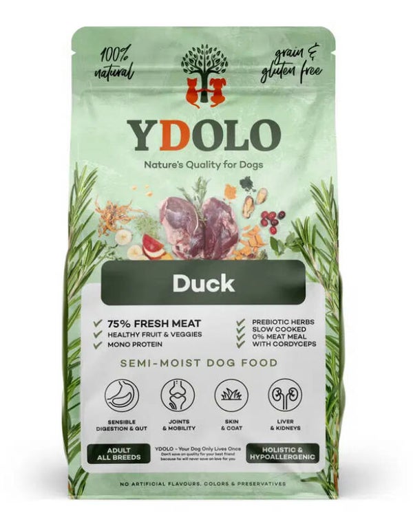 Ydolo - Duck