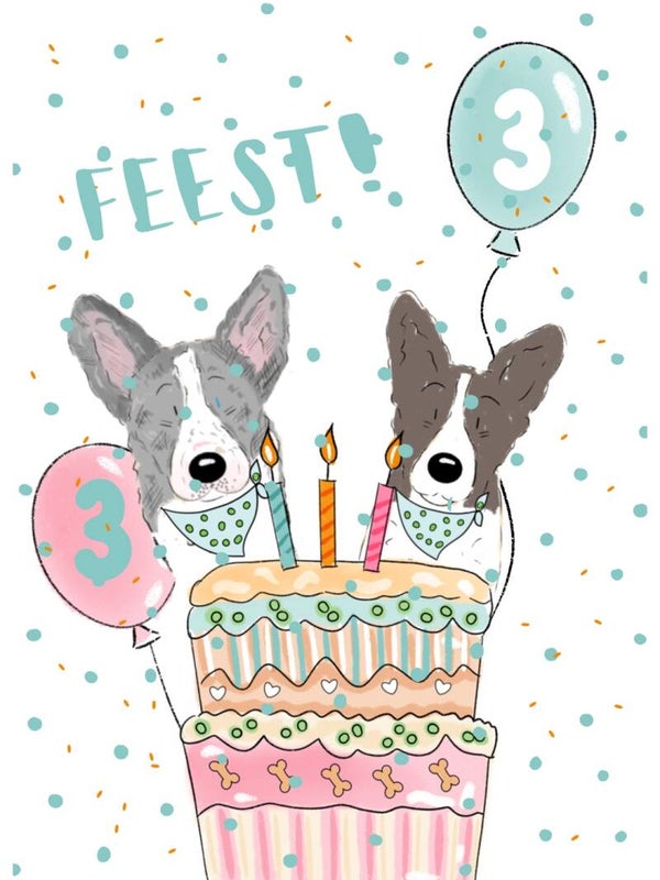 Limited Feestpakket