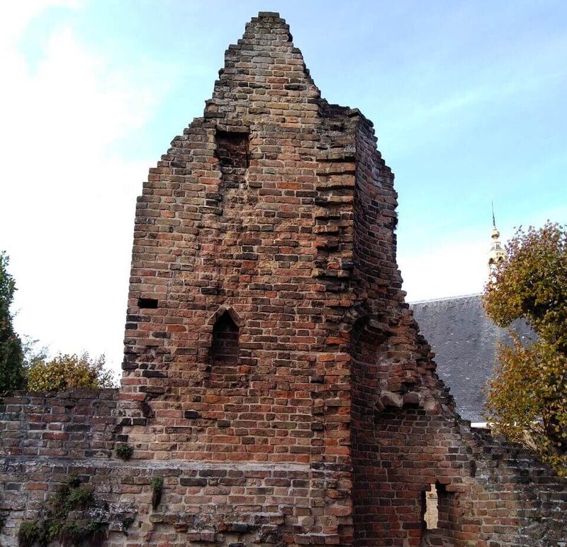 reuzin van hilligersberg