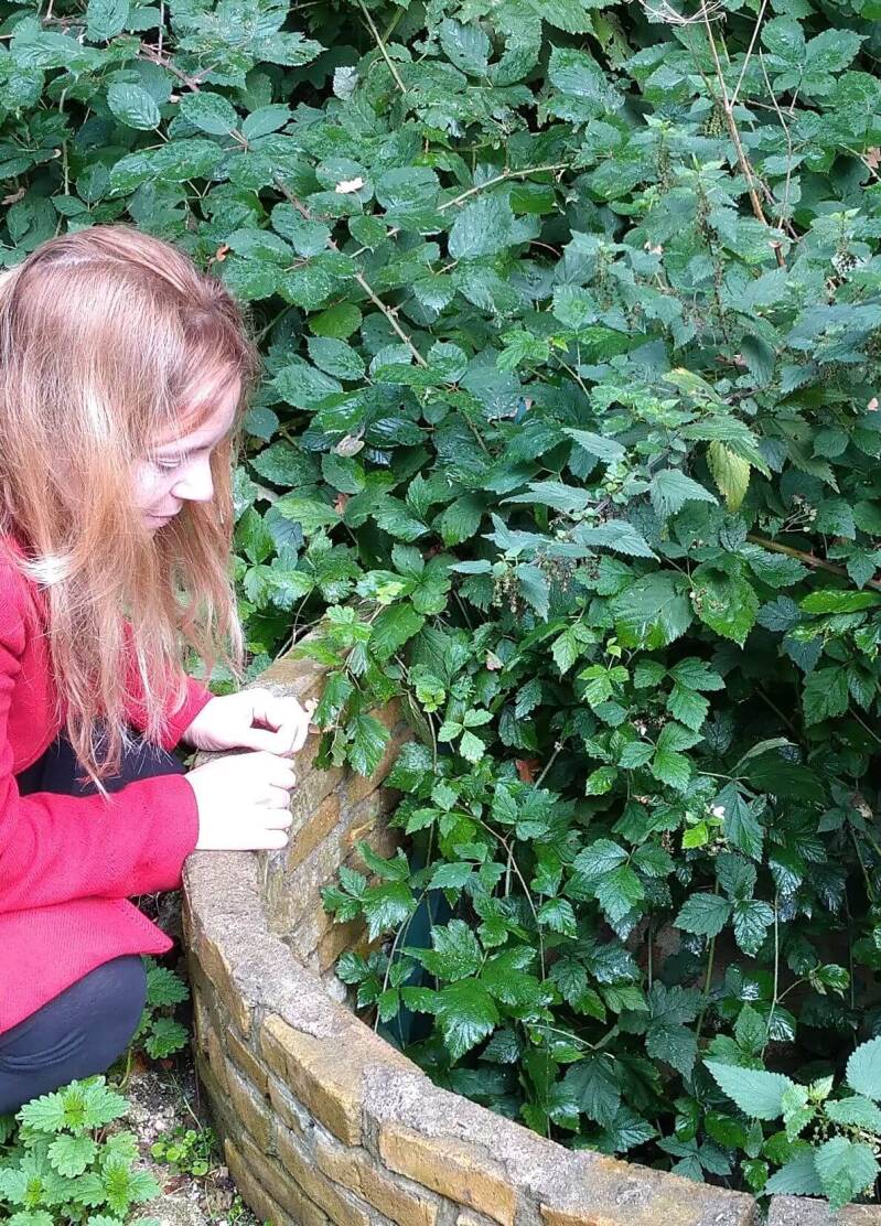 Waterput, Vrouw Holle