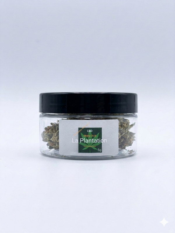 CBD Moby Dike 5g