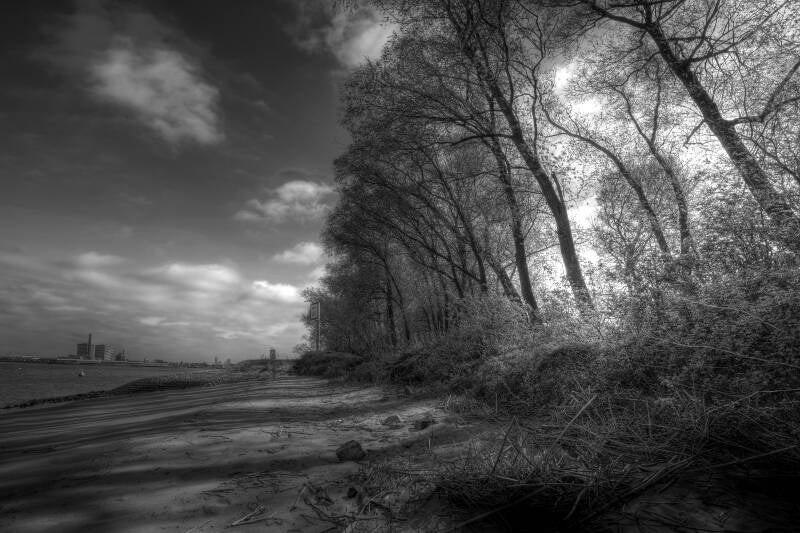 strand-1-standard.jpg