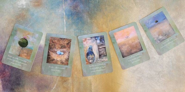 Voimaantumiskortit 5kpl paketti 2.