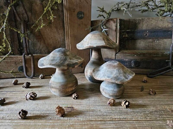 Houten paddenstoel bruin