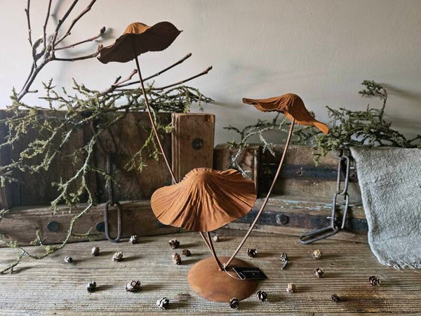 Paddenstoel roest Countryfield