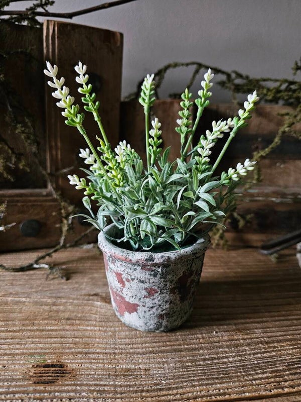Potje kunst lavendel - wit