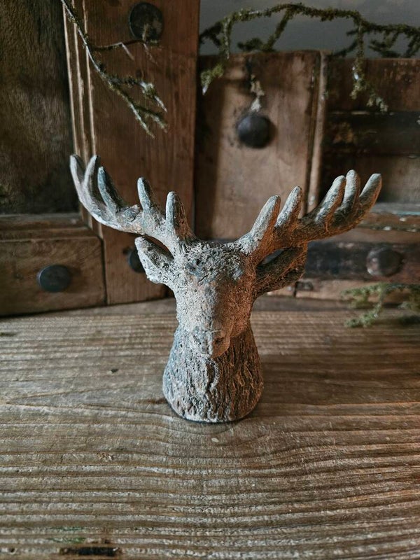 Ornament rendier kop