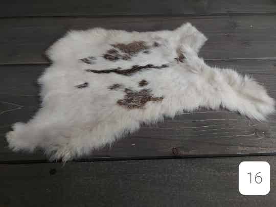 Konijnenvacht - 16