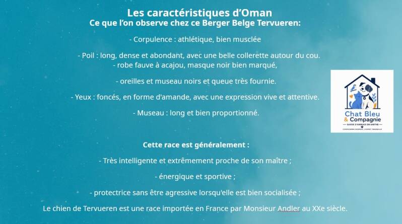 caract-ristiques-berger-belge-tervueren-1-standard.jpg