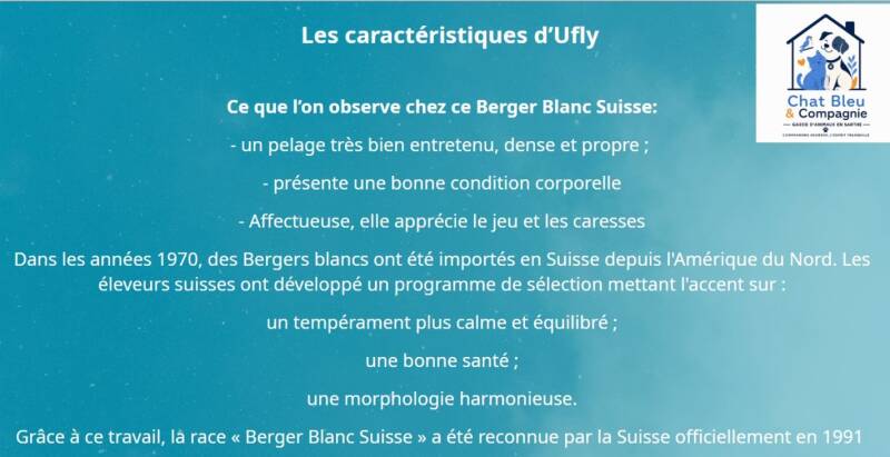 caract-ristiques-berger-blanc-suisse-standard.jpg