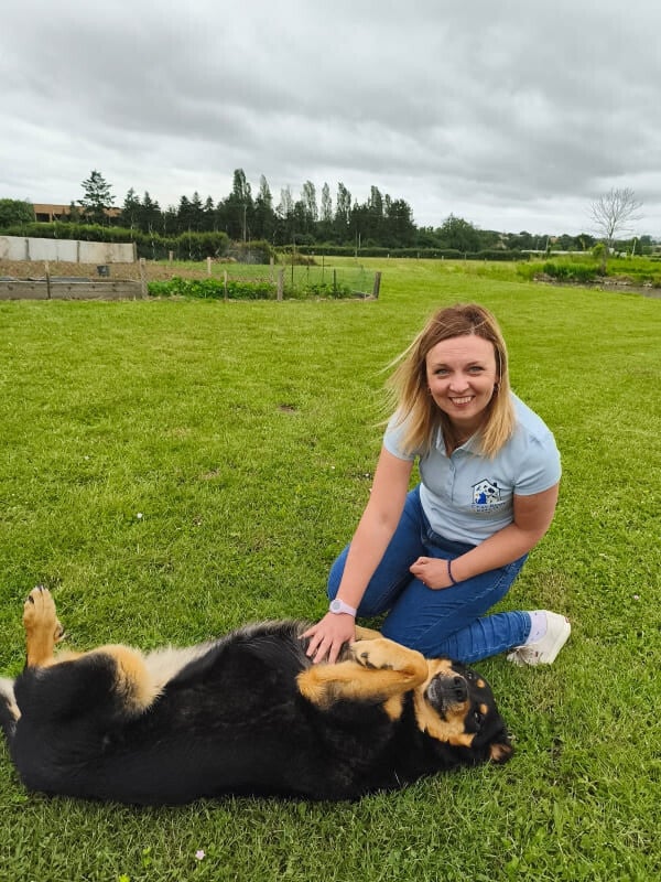 garde pour chien au Mans et en sarthe