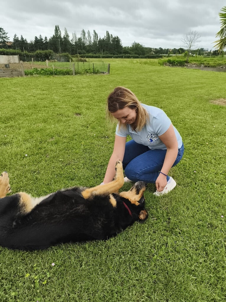 Garde d'un chien
