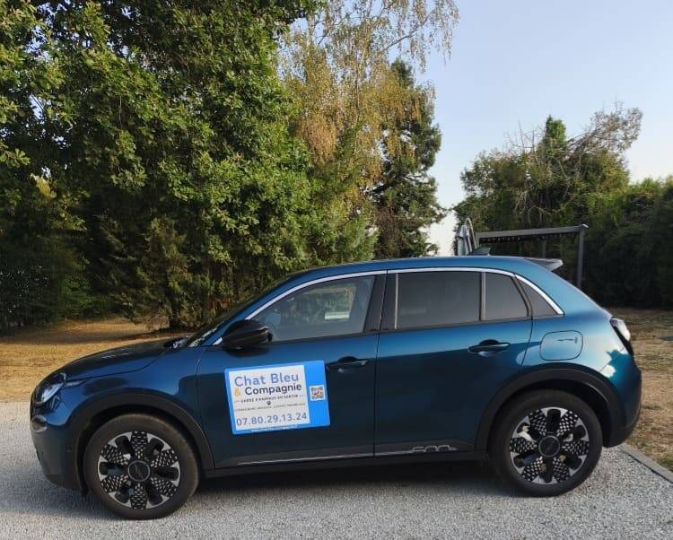 voiture-garde-petsitter-standard.jpg