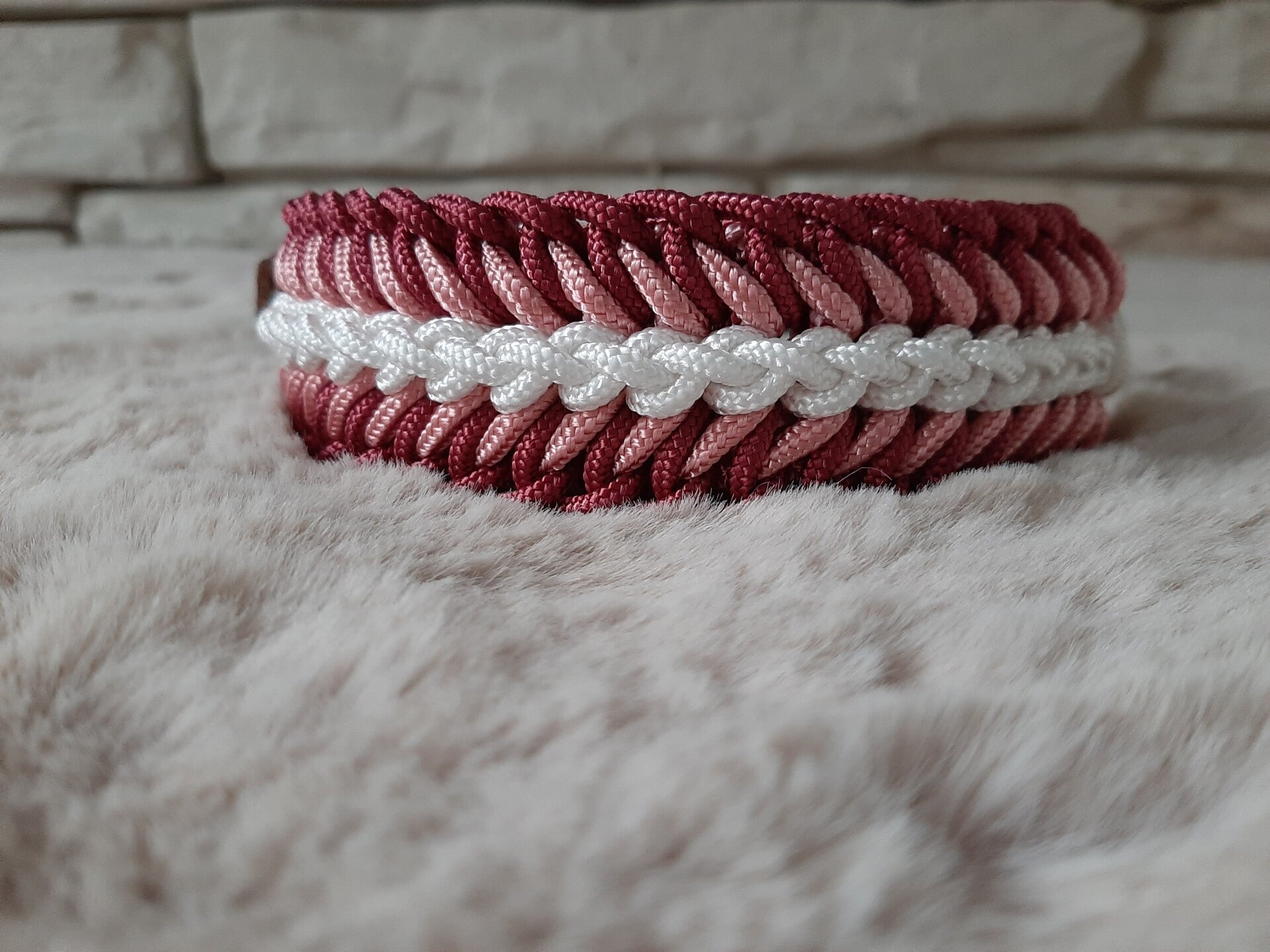 Paracord Halsband "Cookie"