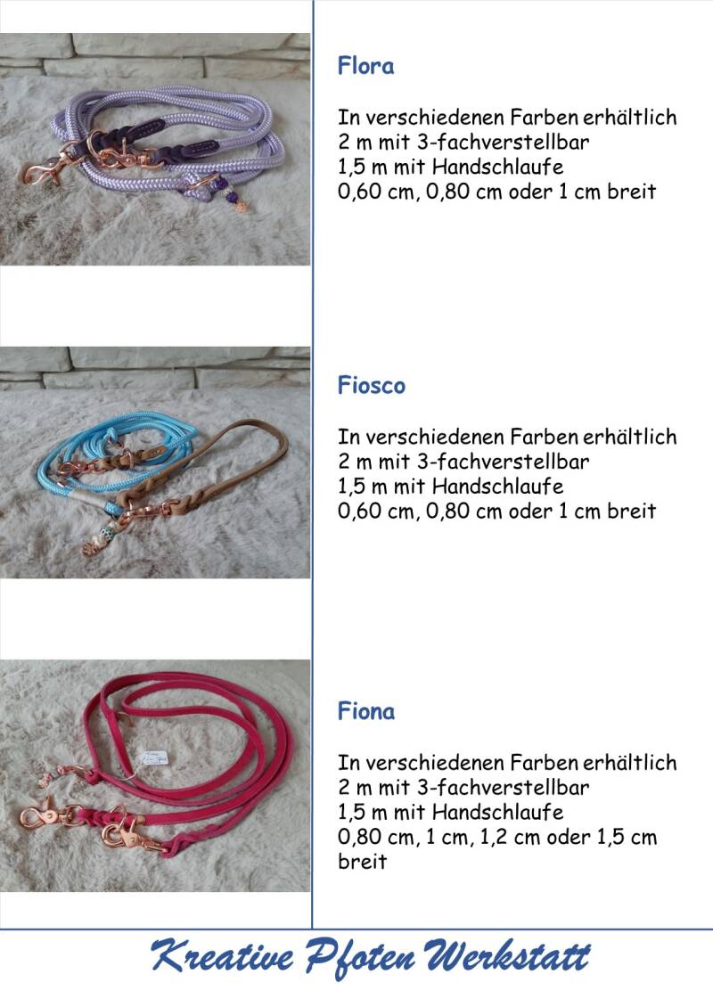 folie13-standard-5j3j3n.jpg