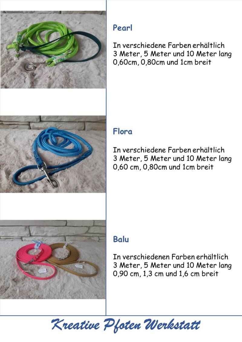 folie16-standard-41mpbi.jpg