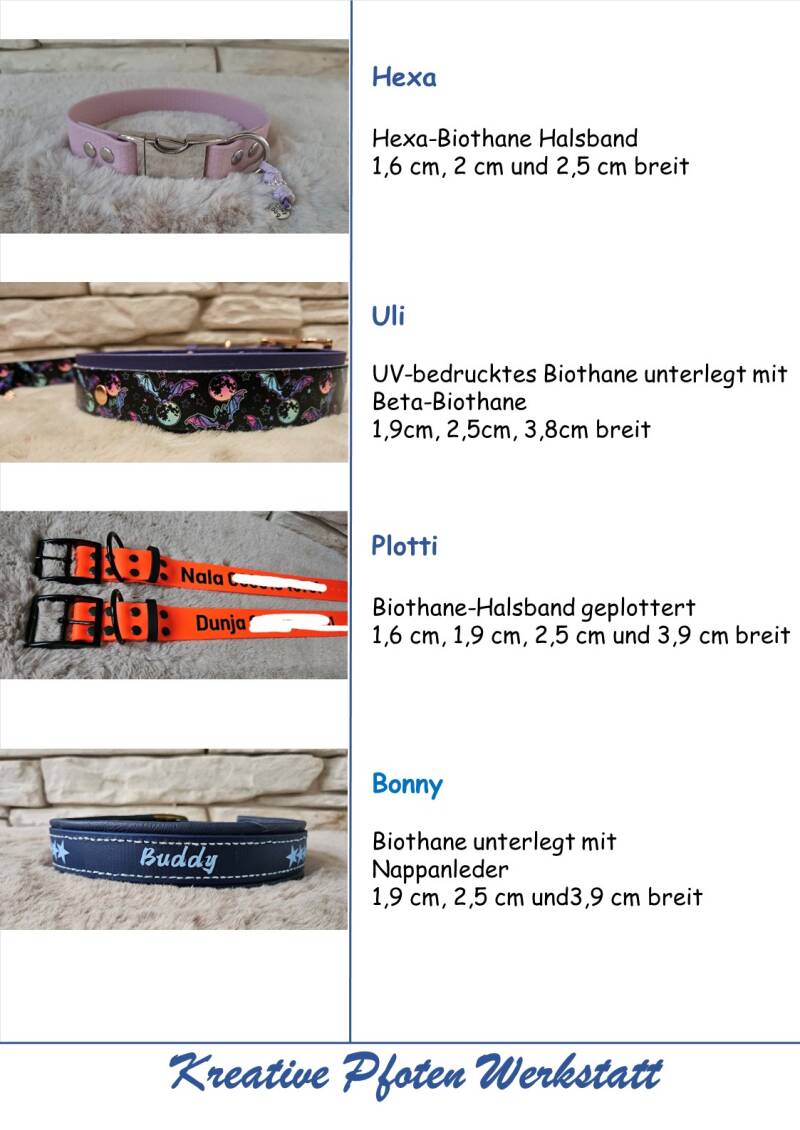 folie7-standard-sdyhy2.jpg