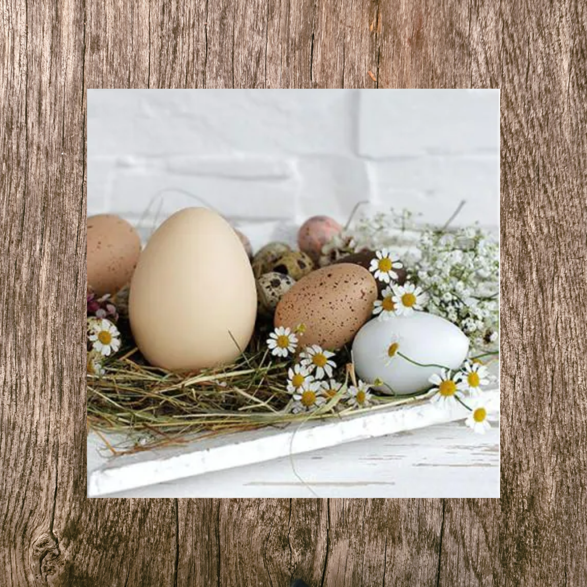 Servet Pastel eieren