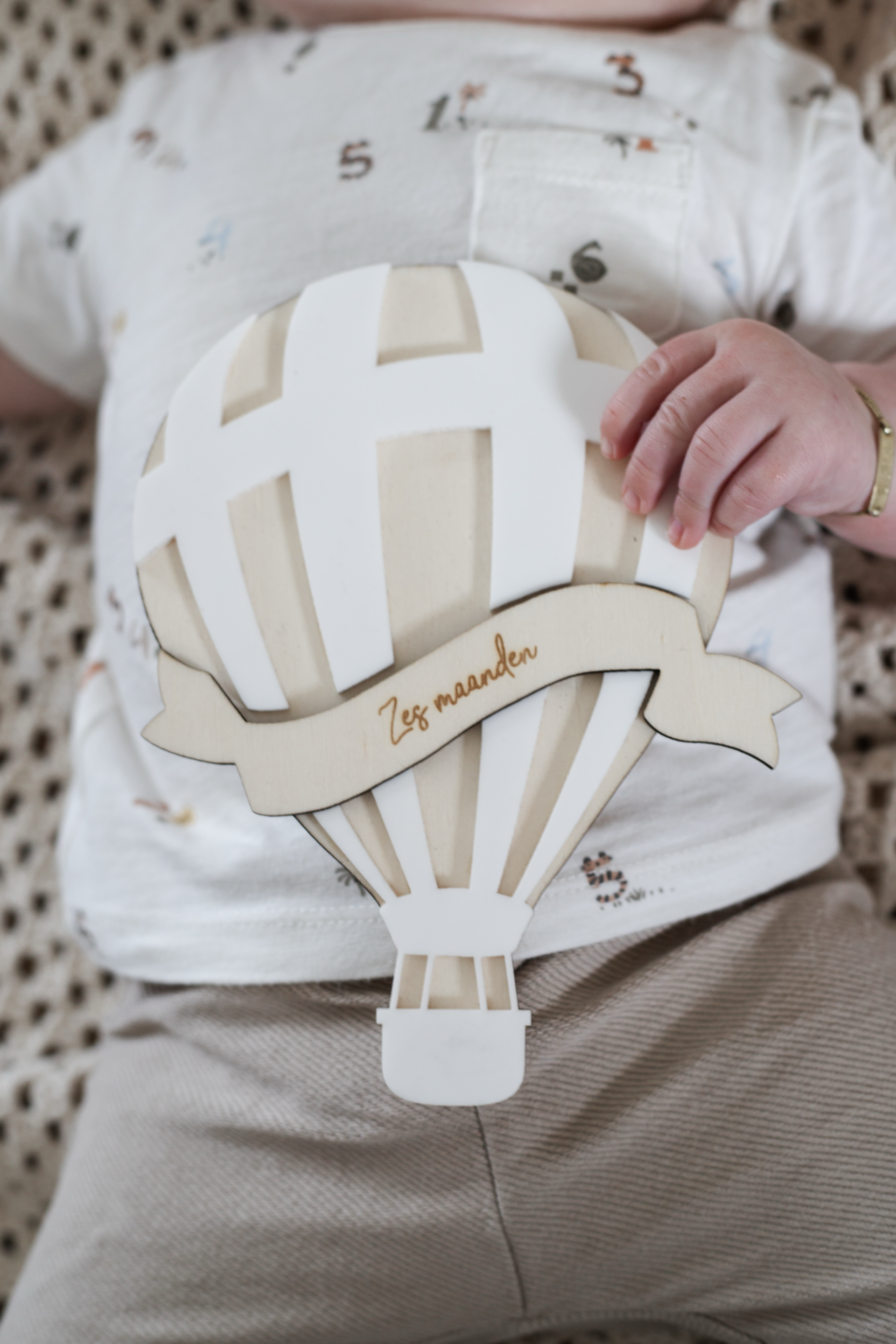 Houten mijlpalen set