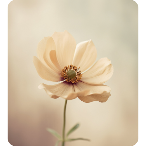 holistisch coach Borne