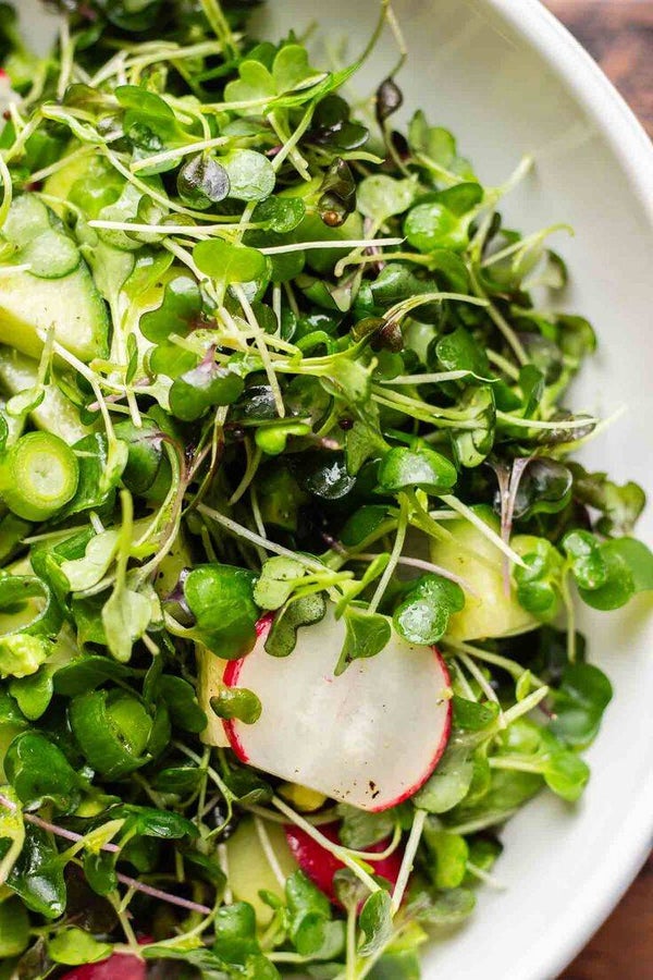 Micro green Salad