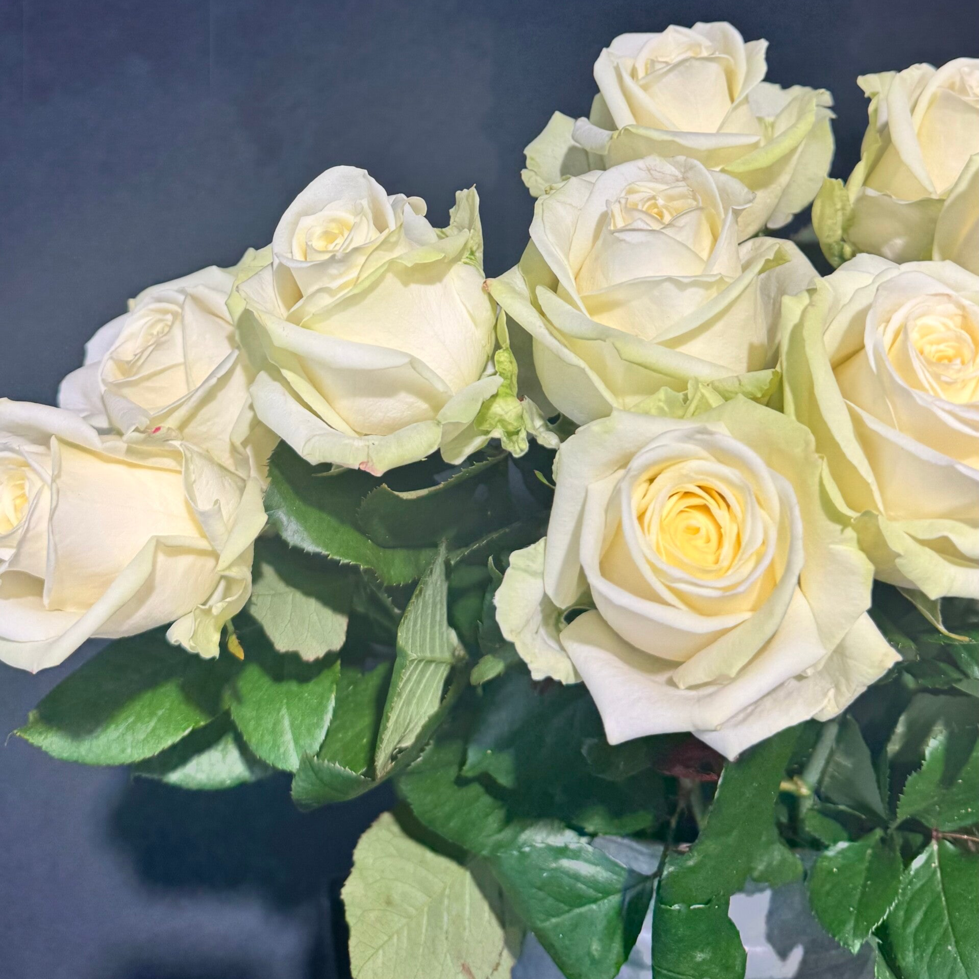 Rozen boeket - MICHELLE