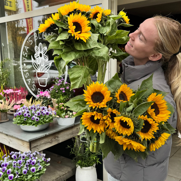 Seizoens verassing - ROBIN