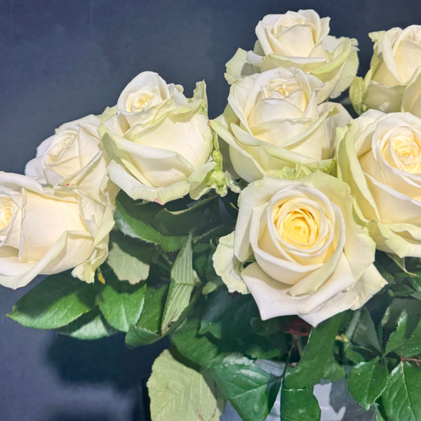 Rozen boeket - MICHELLE