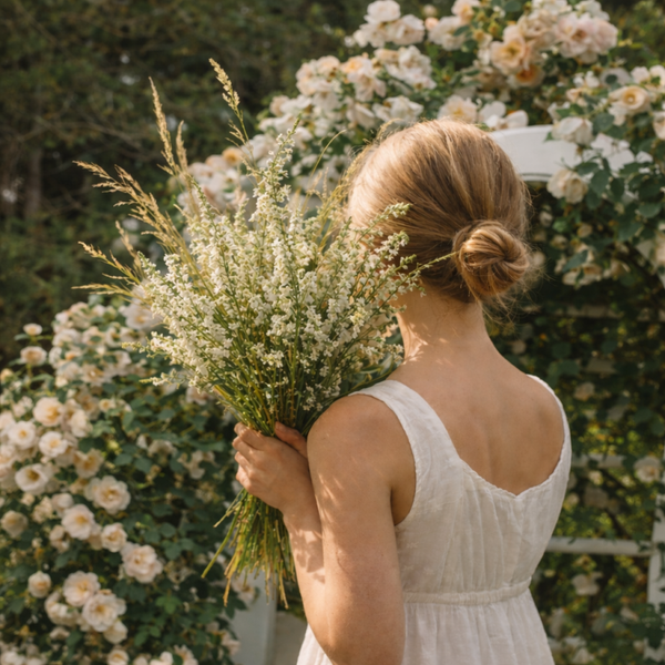 Hysope Blanche – Herbe Albus