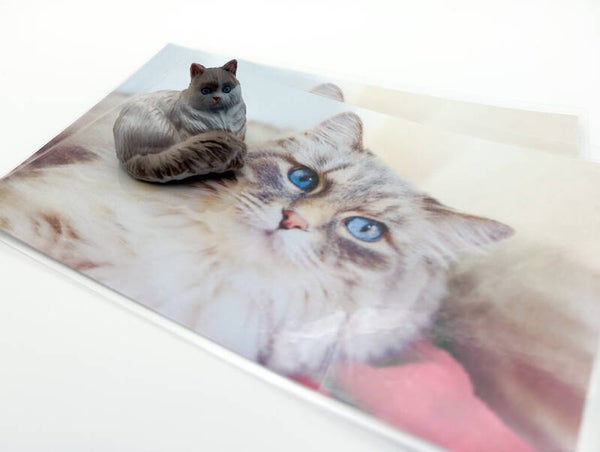 Zoek de zelfde - set 14 kleine katten, 56 kaarten