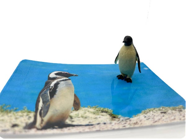 Zoek de zelfde - set 12 zeedieren, 60 kaarten