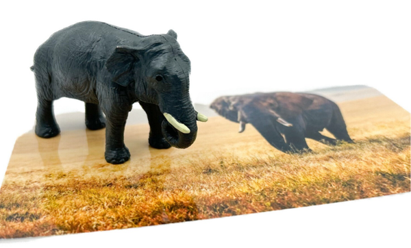 Zoek de zelfde - set 8 kleine wilde dieren, 40 kaarten