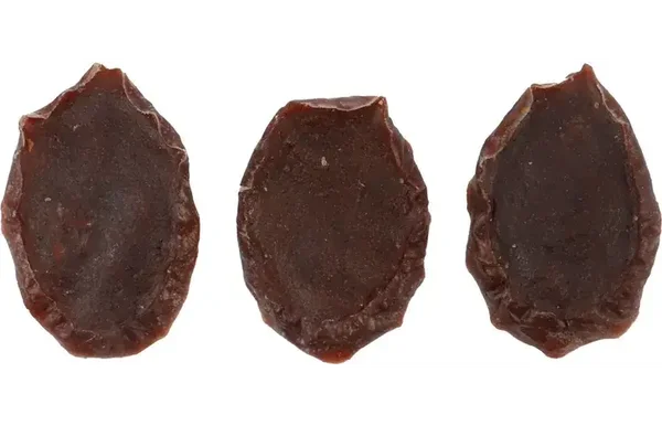 Snack Hapki Pure Schijfjes met paard