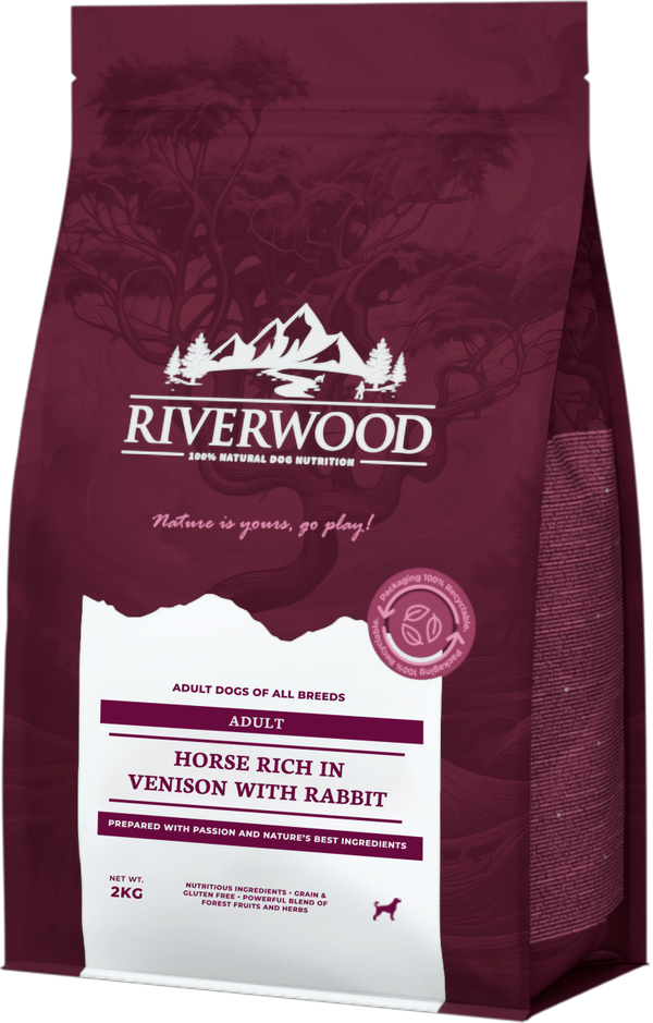 Riverwood adult horse